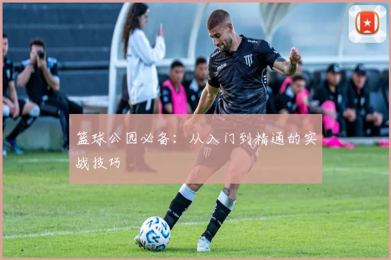 篮球公园必备:从入门到精通的实战技巧