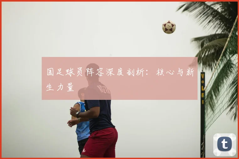 国足球员阵容深度剖析：核心与新生力量