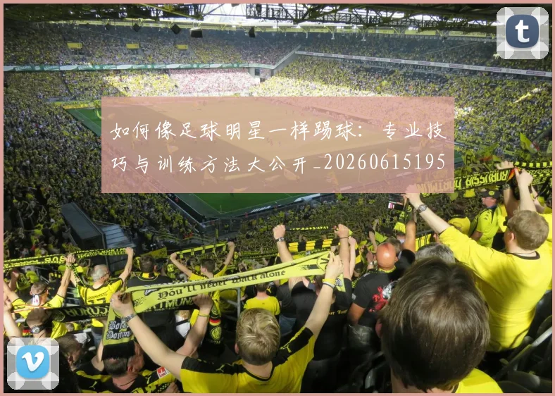 如何像足球明星一样踢球：专业技巧与训练方法大公开_20260615195400