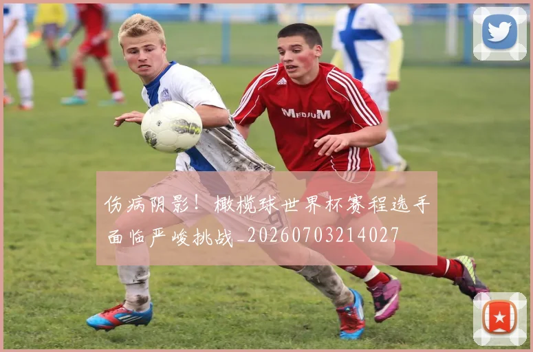 伤病阴影！橄榄球世界杯赛程选手面临严峻挑战_20260703214027
